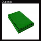 NEW Heavy duty Green High Key 10X20 Muslin Backdrop