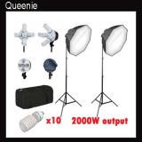 Pro 5 socket 2000 watt 2 light octagon softbox lighting kit